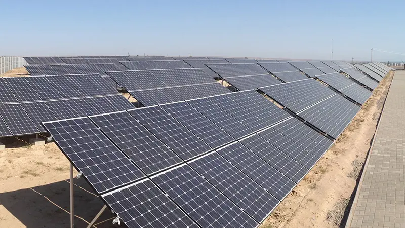 A photovoltaic farm that uses Solar Pile Driver to drive piles and install photovoltaic panels