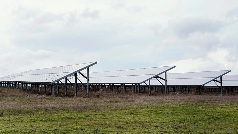 Field with solar panels