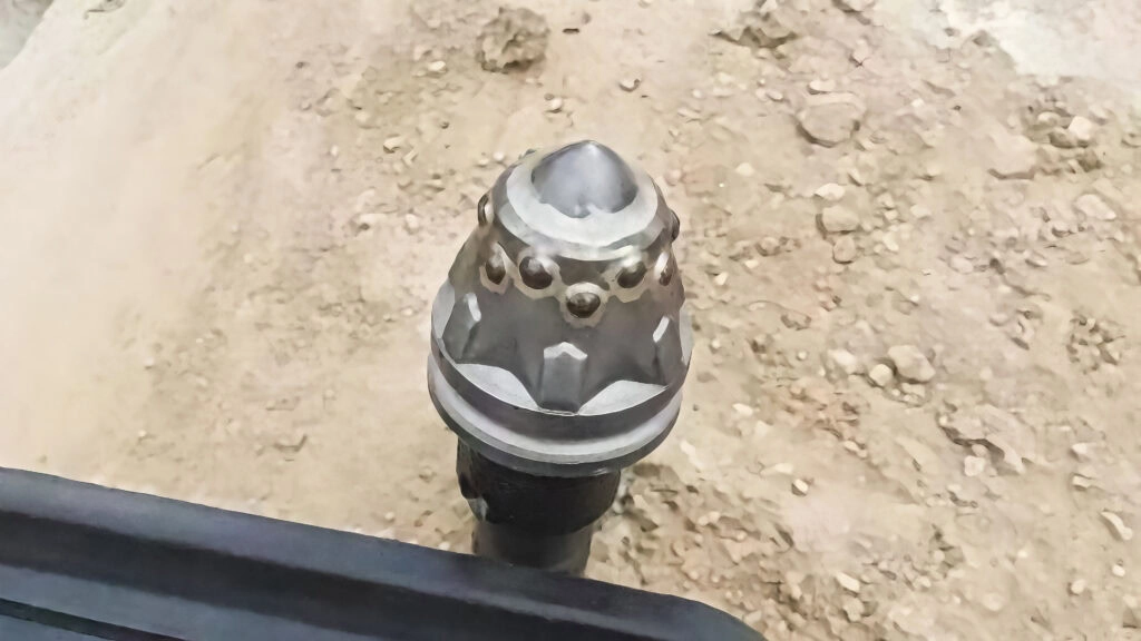 Bullet teeth are shown on a rocky ground.