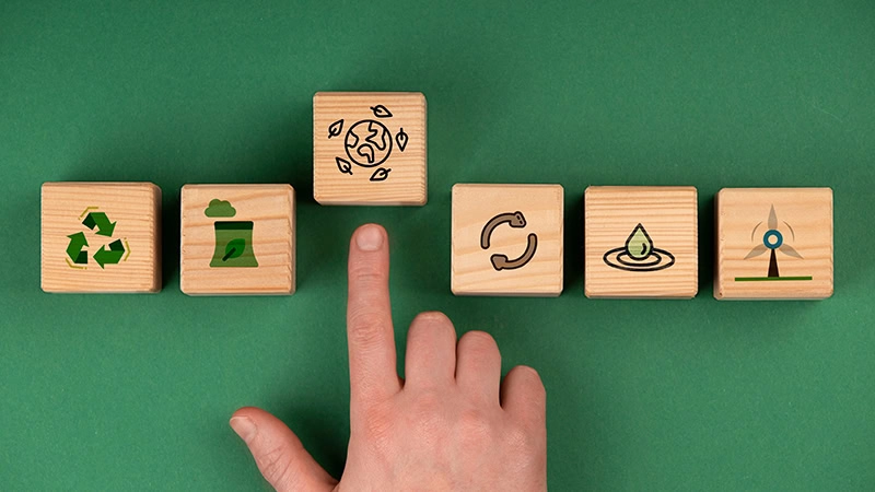 Environmental objectives of development