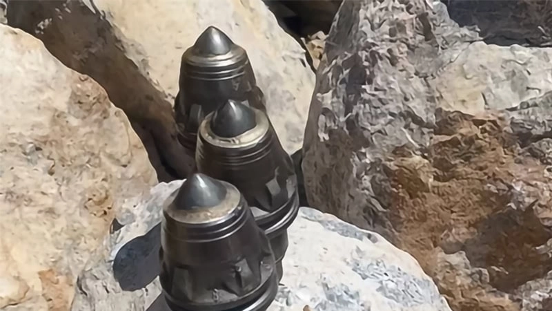 Three bullet teeth on the rock