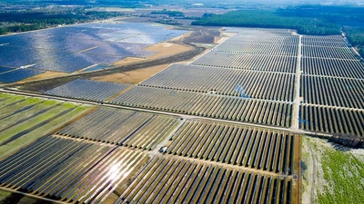 Solar farm construction site